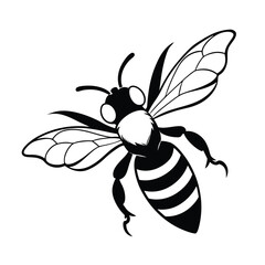 vector of bee design, labeled line art silhouette illustration.