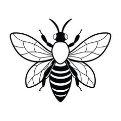 vector of bee design, labeled line art silhouette illustration.