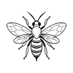 vector of bee design, labeled line art silhouette illustration.