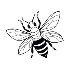 vector of bee design, labeled line art silhouette illustration.