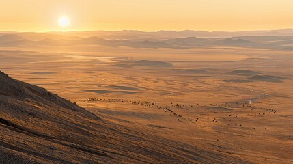 sunset on the expanse of the desert