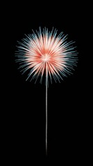 Firework burst on black background