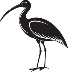 Obraz premium giant ibis bird vector illustration