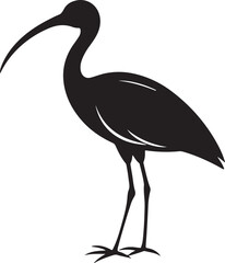 Obraz premium giant ibis bird vector illustration