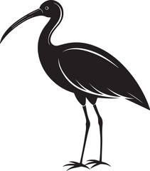 Obraz premium giant ibis bird vector illustration