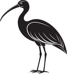 Obraz premium giant ibis bird vector illustration
