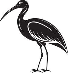 Obraz premium giant ibis bird vector illustration
