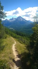 Obraz premium Scenic mountain trail with lush greenery and distant peaks under a blue sky.
