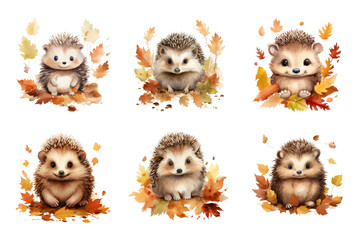Fototapeta premium Adorable Hedgehog Watercolor Collection Bundle Set Isolated on a Transparent Background