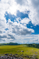夏空の美ヶ原