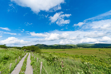 Fototapeta premium 夏空の八島ヶ原湿原