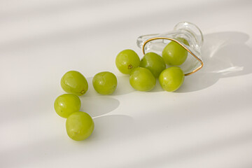 A single shine muscat grape