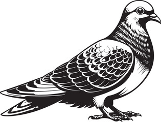 Obraz premium grenada dove bird vector illustration