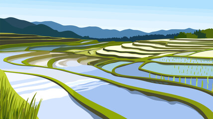 Rice Terraces in a Green Valley with Water Reflections