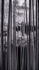 Obraz premium Monochrome Bamboo Forest Illustration with Mystical Shadows and Depth