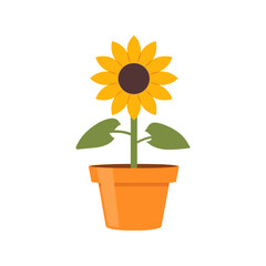 Obraz premium Sunflower in Pot Drawing