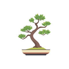 Bonsai Tree Vector Illustration for Zen and Nature Projects