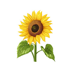 Fototapeta premium Vibrant Sunflower Vector Art for Nature Projects