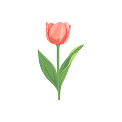 Obraz premium Elegant Tulip Flower Vector Graphic Design