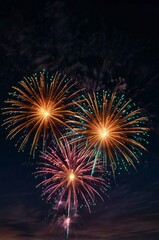 Obraz premium fireworks in the night sky