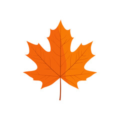 Fototapeta premium Orange Maple Leaf Vector Illustration - Autumn Themed Art
