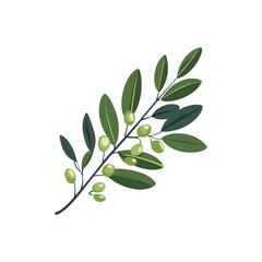 Obraz premium Olive Branch Vector with Green Leaves and Olives for Design