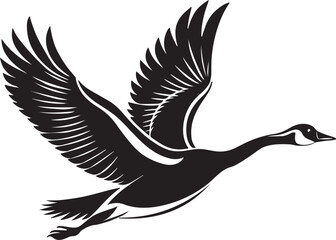 Fototapeta premium Whooper Swan vector illustration