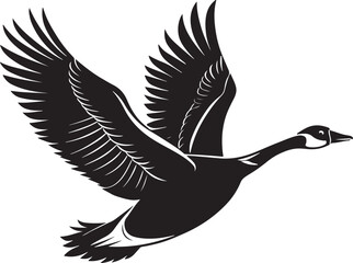 Obraz premium Whooper Swan vector illustration