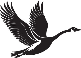 Obraz premium Whooper Swan vector illustration