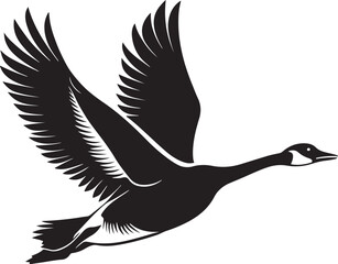 Fototapeta premium Whooper Swan vector illustration