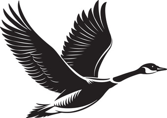 Obraz premium Whooper Swan vector illustration