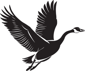 Obraz premium Whooper Swan vector illustration