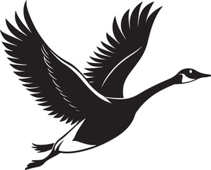 Fototapeta premium Whooper Swan vector illustration