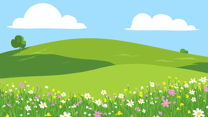 Blooming Flower Meadow on a Sunny Day