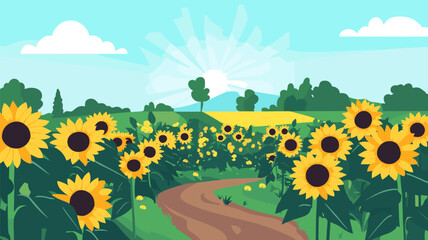 Fototapeta premium Sunflower Field with Sunlight