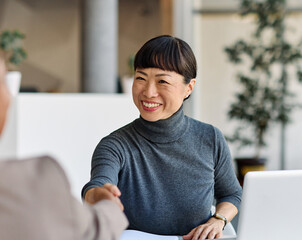 business meeting businesswoman teamwork woman handshake agreement deal hand shake shaking man...