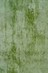 green grunge background