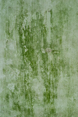 old wall background with green dirt