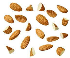 almond nut food healthy organic natural ingredient snack isolated seed brown fruit closeup nutrition group