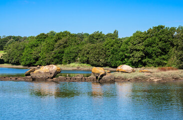 Serene River Landscape with Boulders and Greenery
