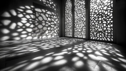 Geometric Floral Shadow Patterns on Wall and Floor, Created by Sunlight Filtering Through.