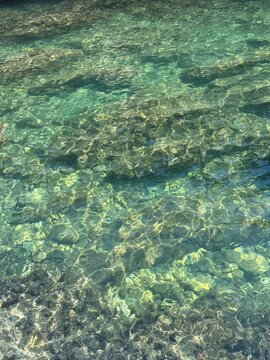Emerald green sea water with algae at the bottom. 
