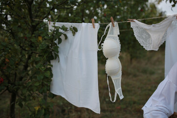 bra, panties and white sheets drying after washing on a clothesline in the garden