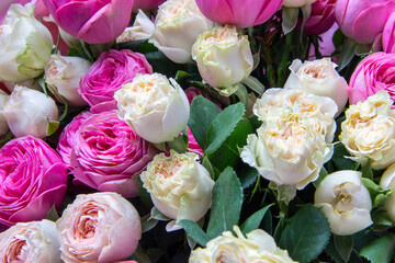 A large bouquet of pink and white roses close-up. Congratulations on the holiday. Love and tenderness. Close up