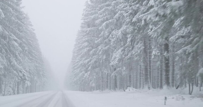 Winter Driving - Driving on a snowy country road through a wooded area - Filmed on a foggy winter day with heavy snowfall - POV shot / Front view driving plate