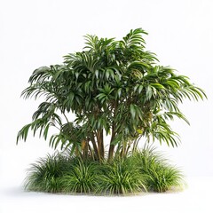 Fototapeta premium north florida shrubbery, landscaped, white background,generative ai