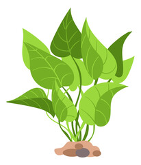Green underwater plant. Cartoon marine flora icon