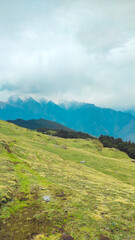 Gorson bugyal Auli Uttarakhand 