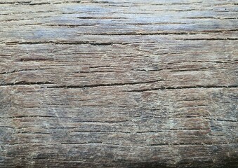 Broken gray dry logs for background image