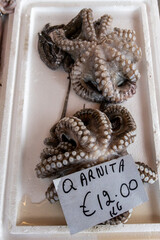 Marsaxlokk, Malta Fresh caught octopus for sale in the fish market for 12 Euro per kilo.